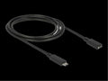 Delock USB-C Extension Cable male to female, 10 Gbps, 60W PD, 4K,  2m — DeLOCK