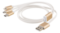 Epzi 3-in-1 Cable Lightning/Micro/USB-C - 1 m - Gold — EPZI