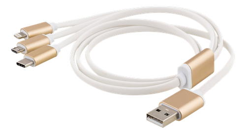 Epzi 3-in-1 Cable Lightning/Micro/USB-C - 1 m - Gold — EPZI