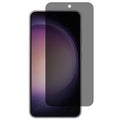Samsung Galaxy S24 Plus screen protector with Privacy Filter — Samsung